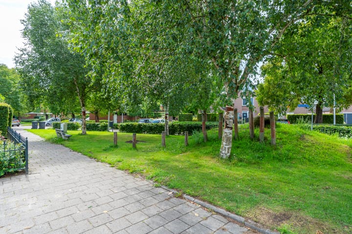 Foto 24 van Laan van Nieuwoord 66