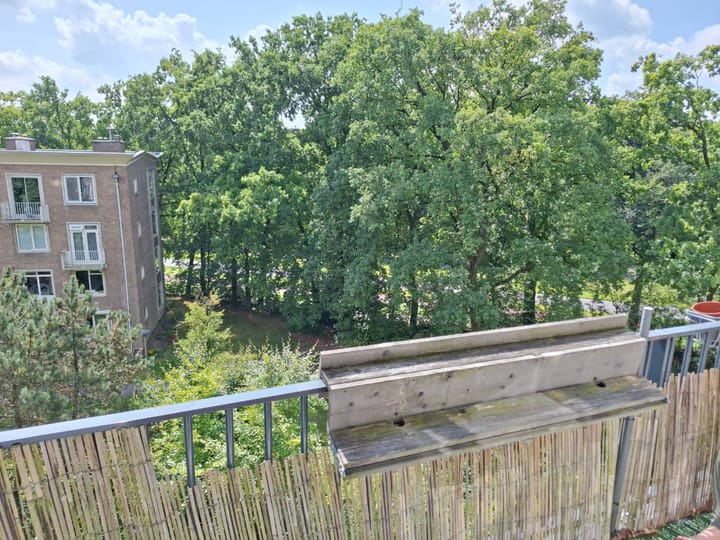 Foto 9 van Gabriëlstraat 67-4