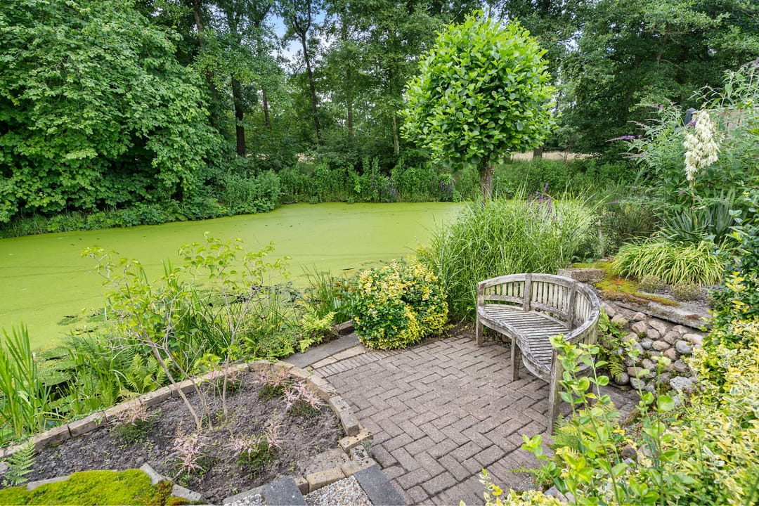 Foto 2 van Voergang 121