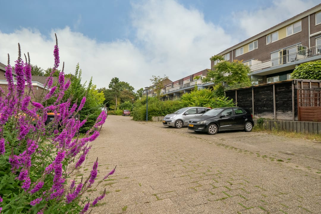 Foto 22 van Waterman 36