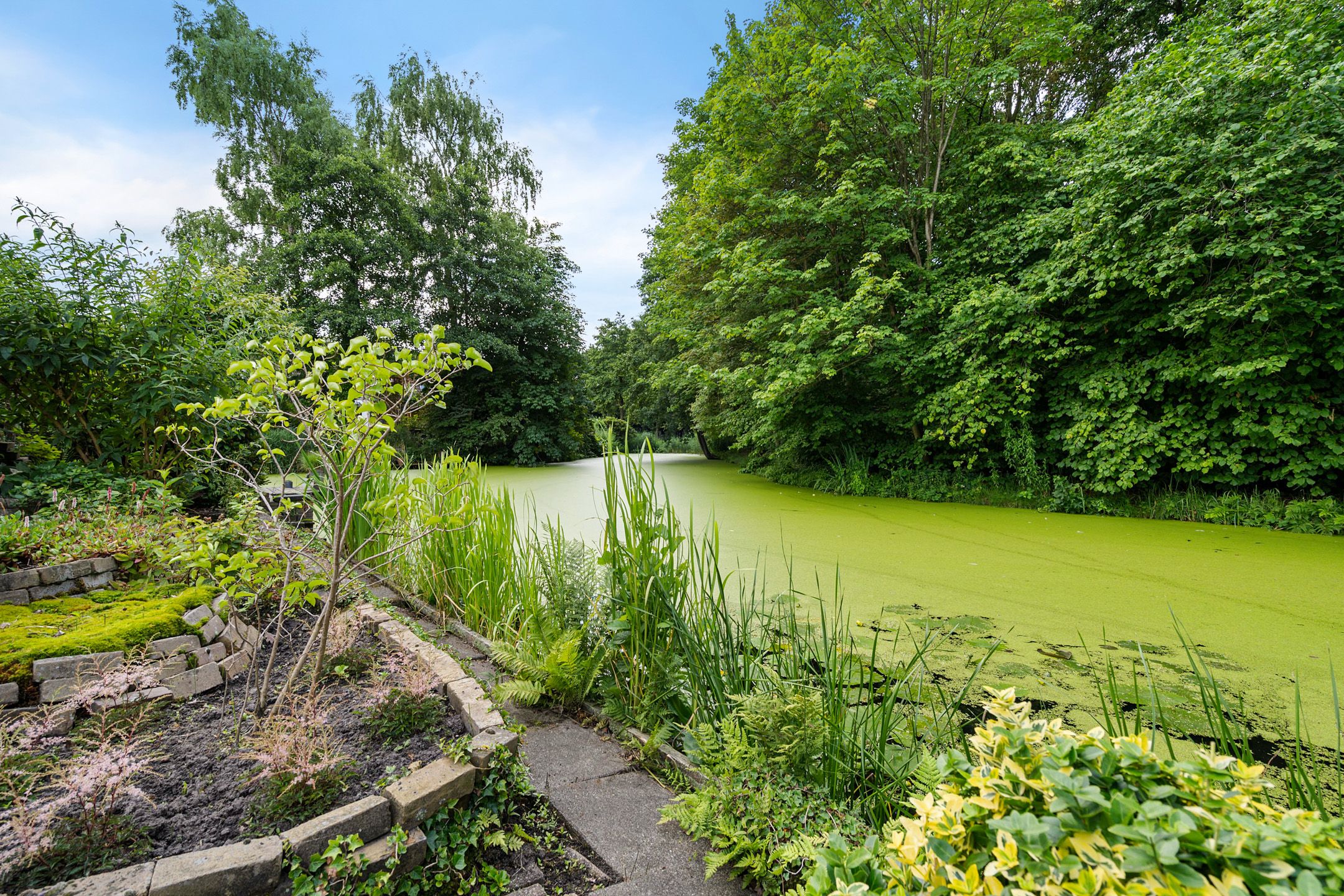 Foto 39 van Voergang 121