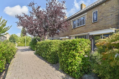 undefined main image