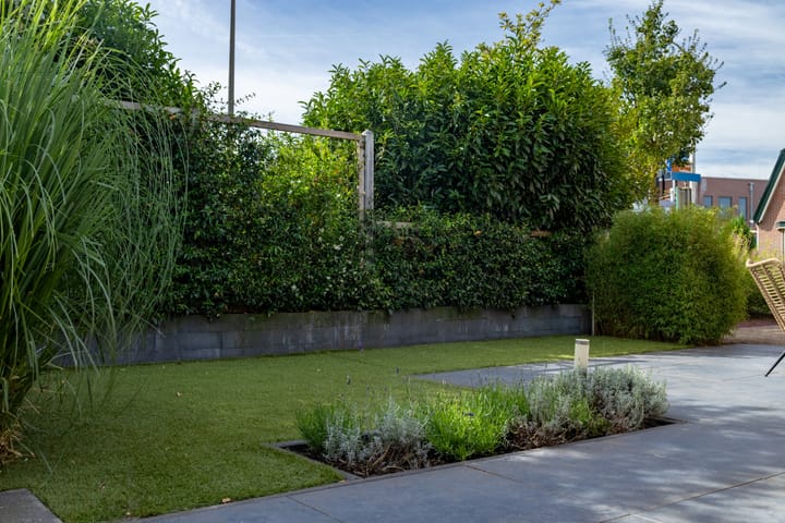 Foto 24 van Burgemeester van der Borchstraat 1