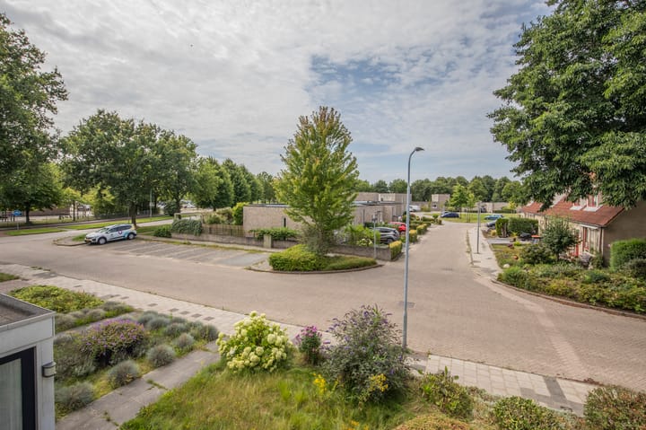 Foto 29 van Boerhoorndreef 8