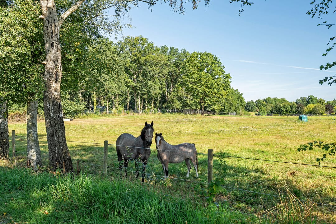 Photo 46 of Jagersweg 6-A