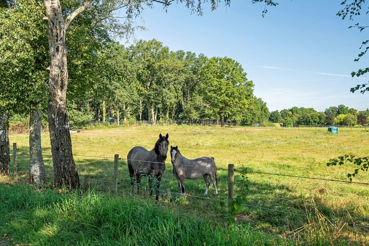 Foto 46 van Jagersweg 6-A