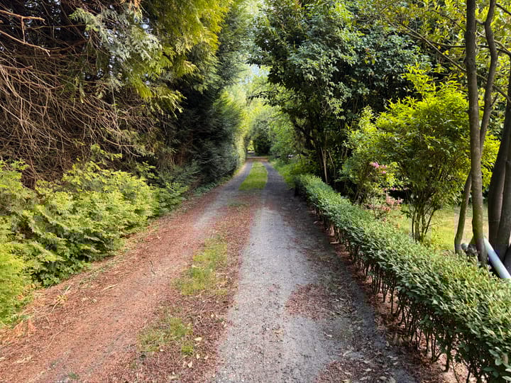 Photo 6 of Slotemaker de Bruïneweg 36