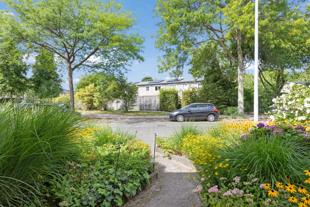 Foto 46 van Chirurgijnsgilde 50