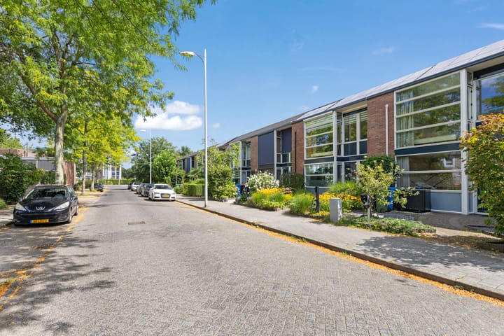 Foto 47 van Chirurgijnsgilde 50