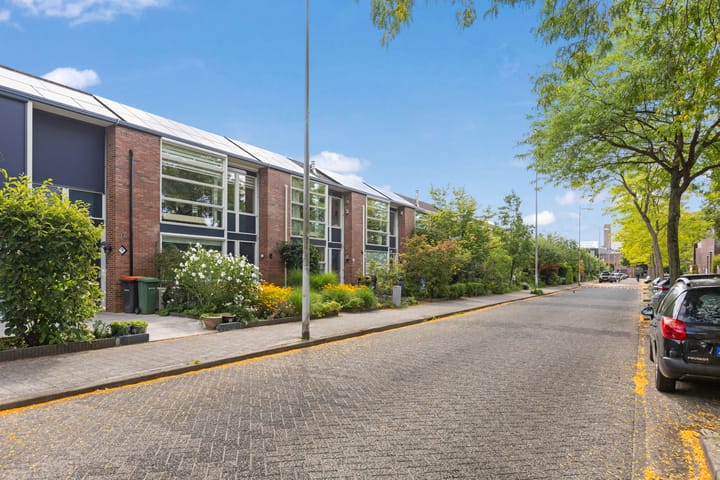 Foto 48 van Chirurgijnsgilde 50