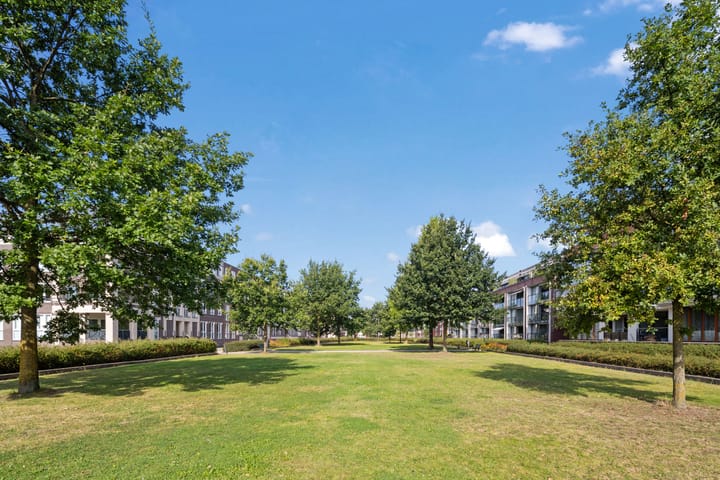 Foto 50 van Chirurgijnsgilde 50