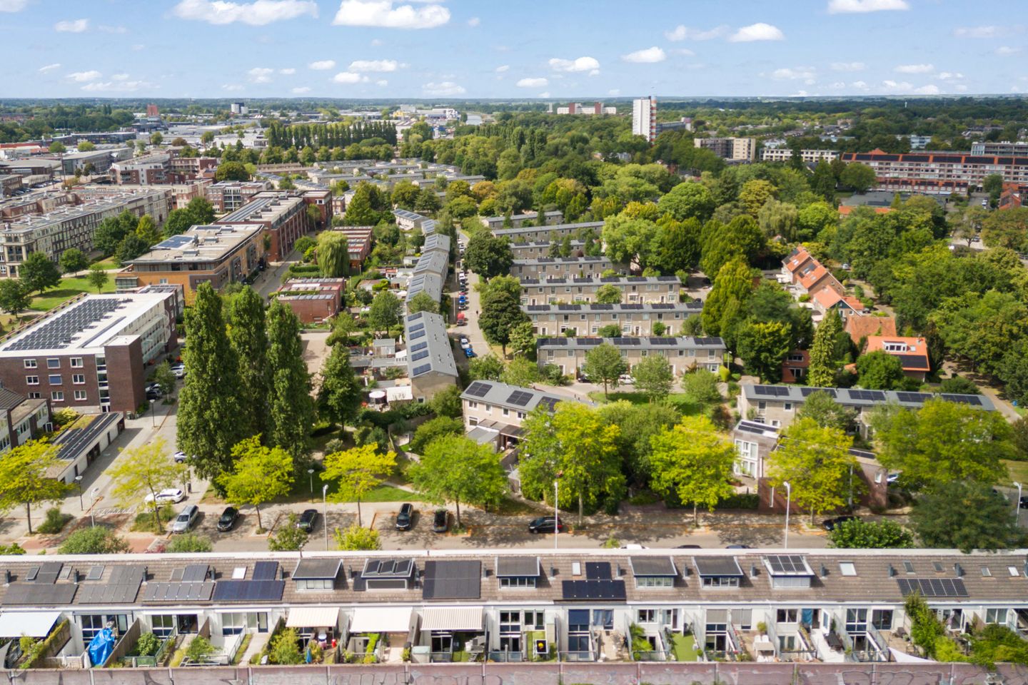 Foto 49 van Chirurgijnsgilde 50