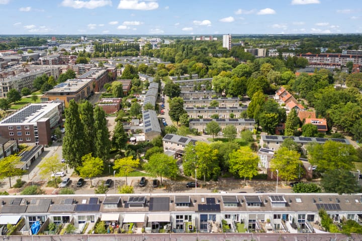 Foto 49 van Chirurgijnsgilde 50