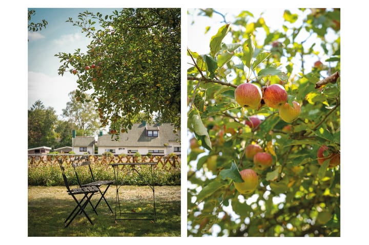 Foto 58 van Parkweg 5