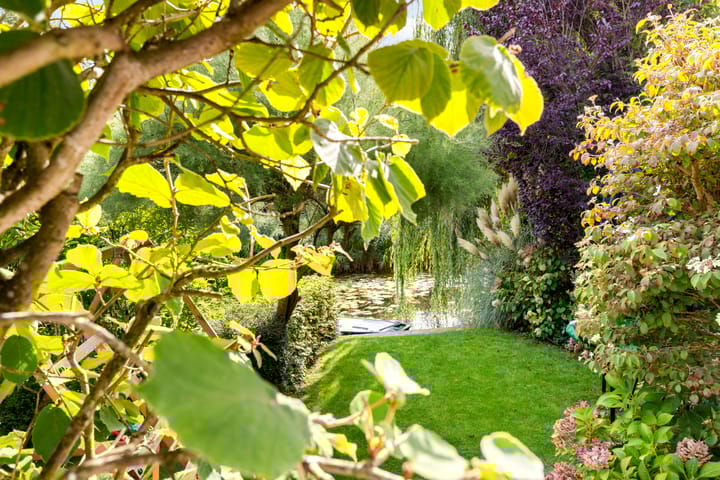 Foto 54 van Winde 123