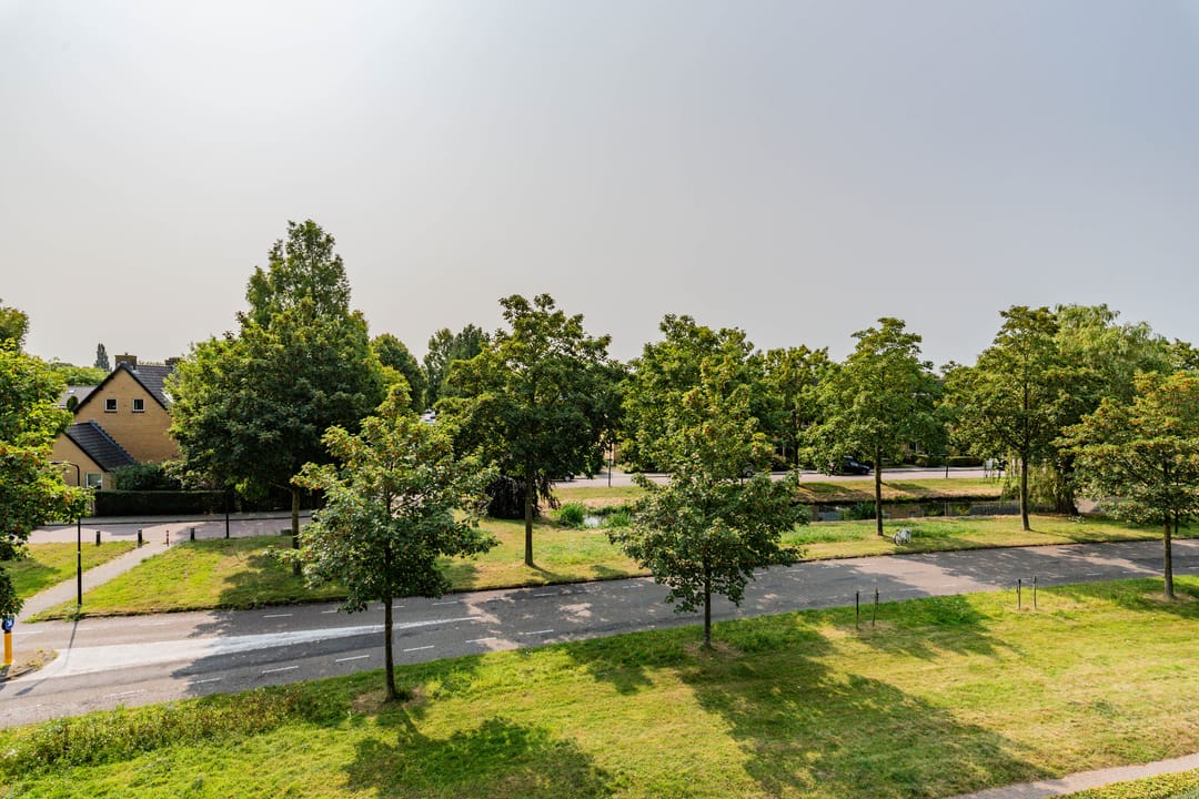 Foto 28 van Leeuwenburgh 49