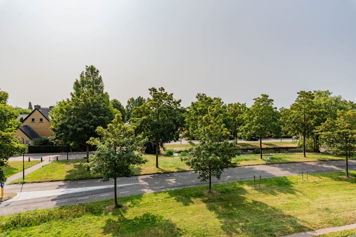 Foto 28 van Leeuwenburgh 49