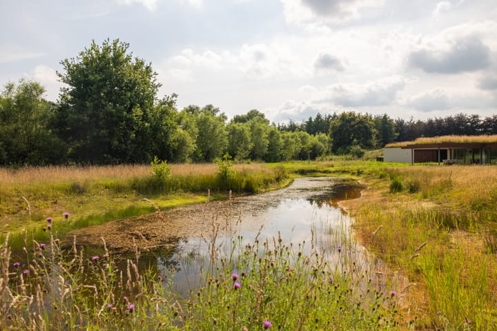 Foto 68 van Oude Goorseweg 4