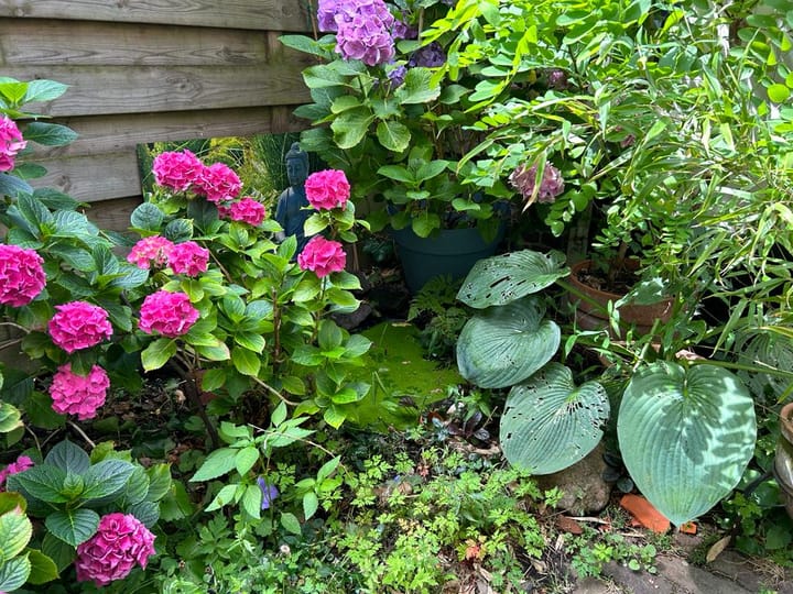 Foto 9 van Graaf Florislaan 24