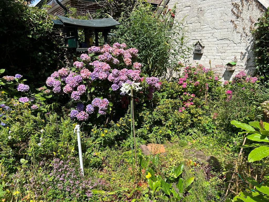 Foto 11 van Graaf Florislaan 24