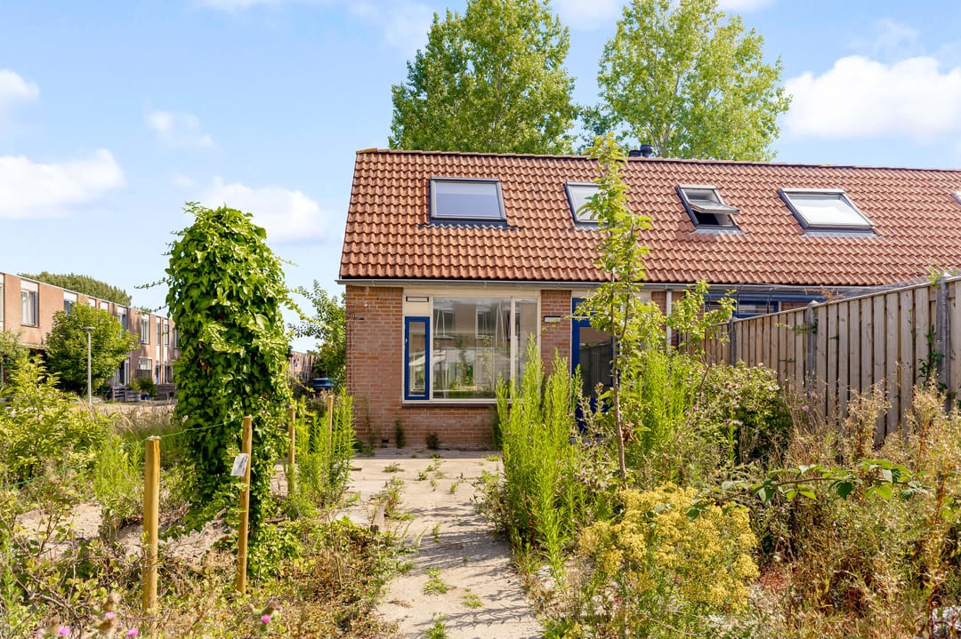 Foto 23 van Grondzeilerplantsoen 13