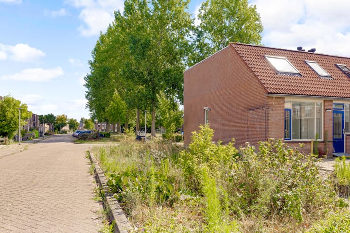 Foto 25 van Grondzeilerplantsoen 13