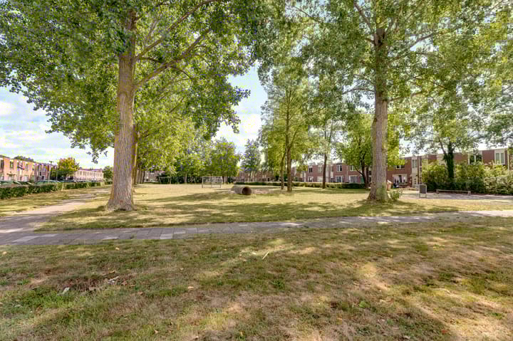 Foto 28 van Grondzeilerplantsoen 13