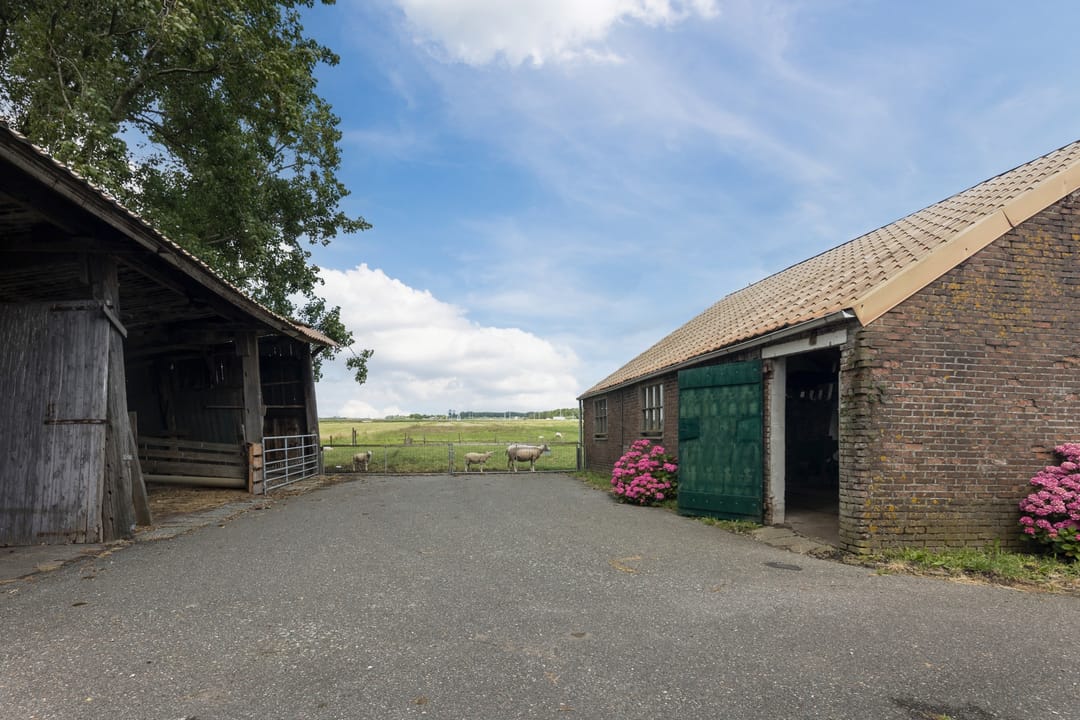 Foto 41 van Zuidbuurt 47