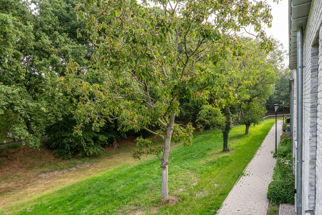 Foto 31 van Hoog Koolmond 6