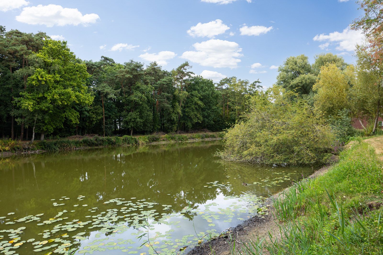 Foto 60 van Baandervrouwenlaan 39