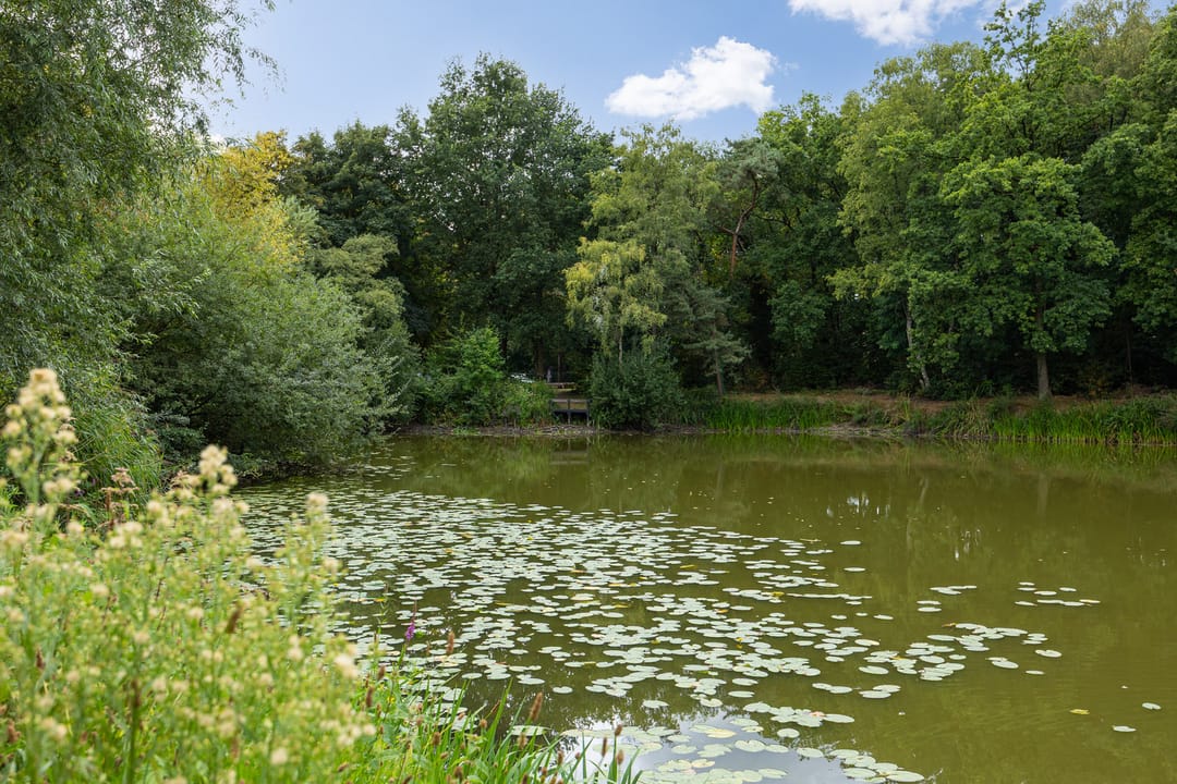 Foto 61 van Baandervrouwenlaan 39