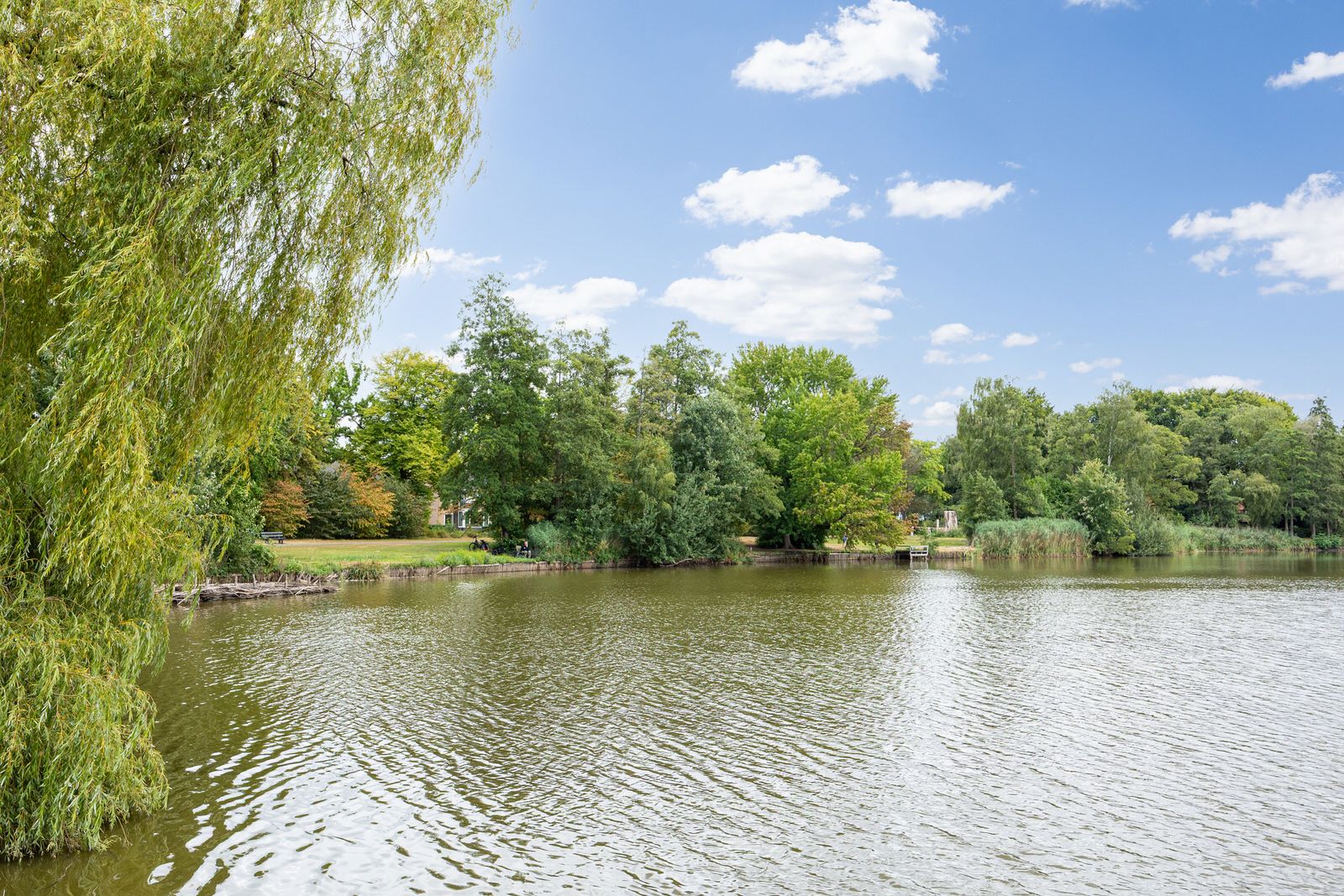 Foto 63 van Baandervrouwenlaan 39