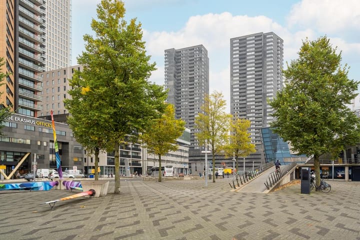 Foto 35 van Gedempte Zalmhaven 497