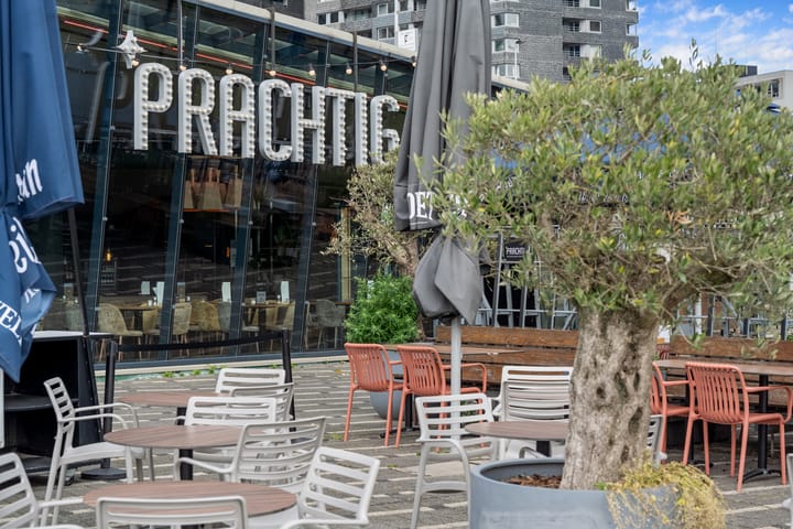 Foto 38 van Gedempte Zalmhaven 497