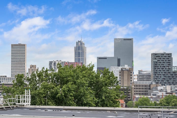 Foto 40 van Gedempte Zalmhaven 497