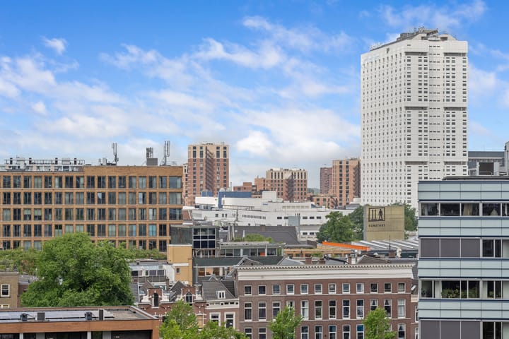 Foto 42 van Gedempte Zalmhaven 497