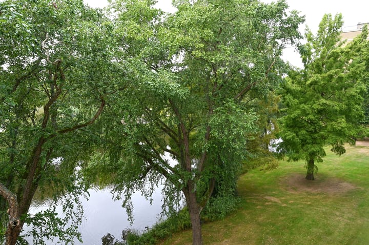 Photo 16 of Veenbesstraat 282