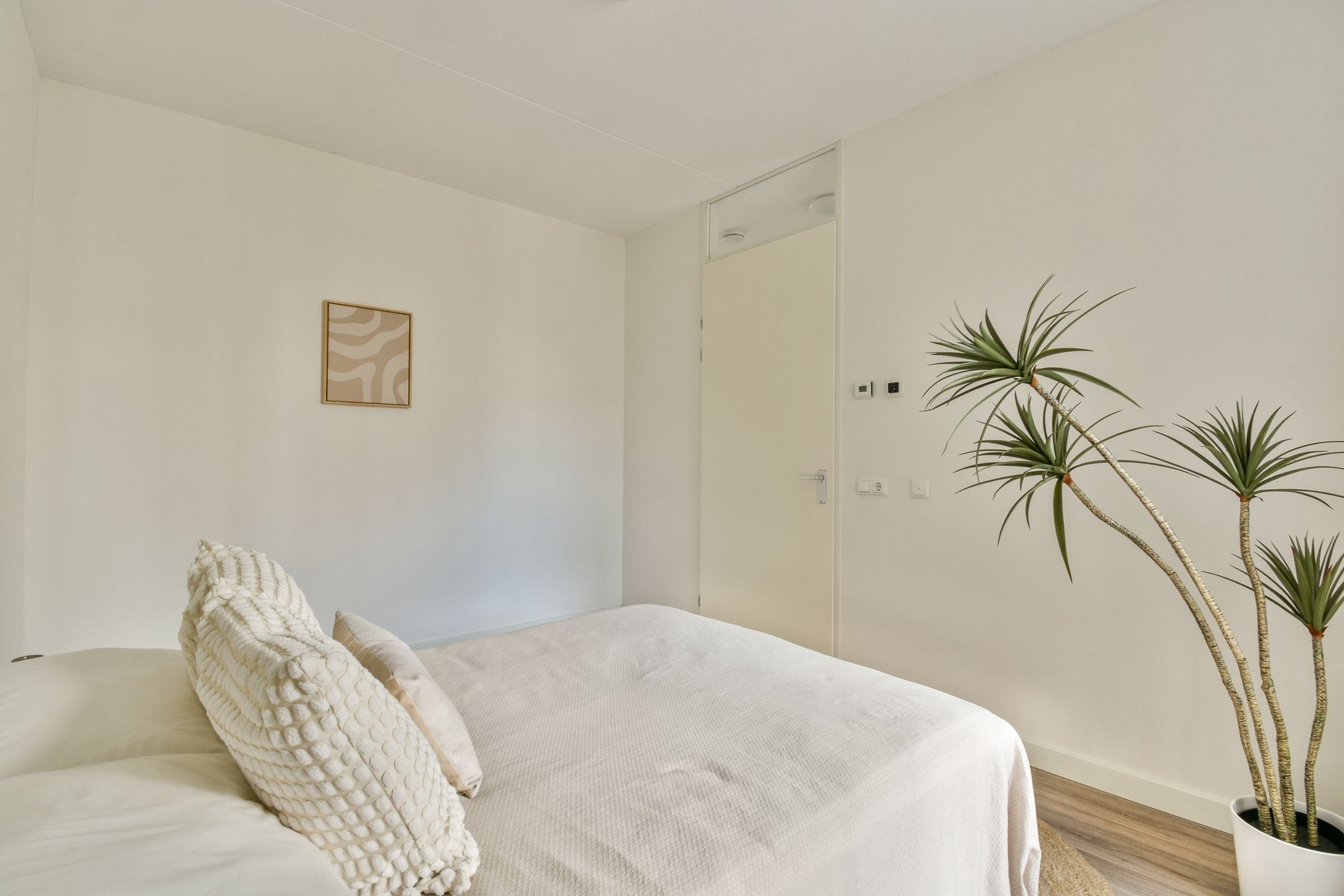 Foto 18 van Carel Willinkgracht 889