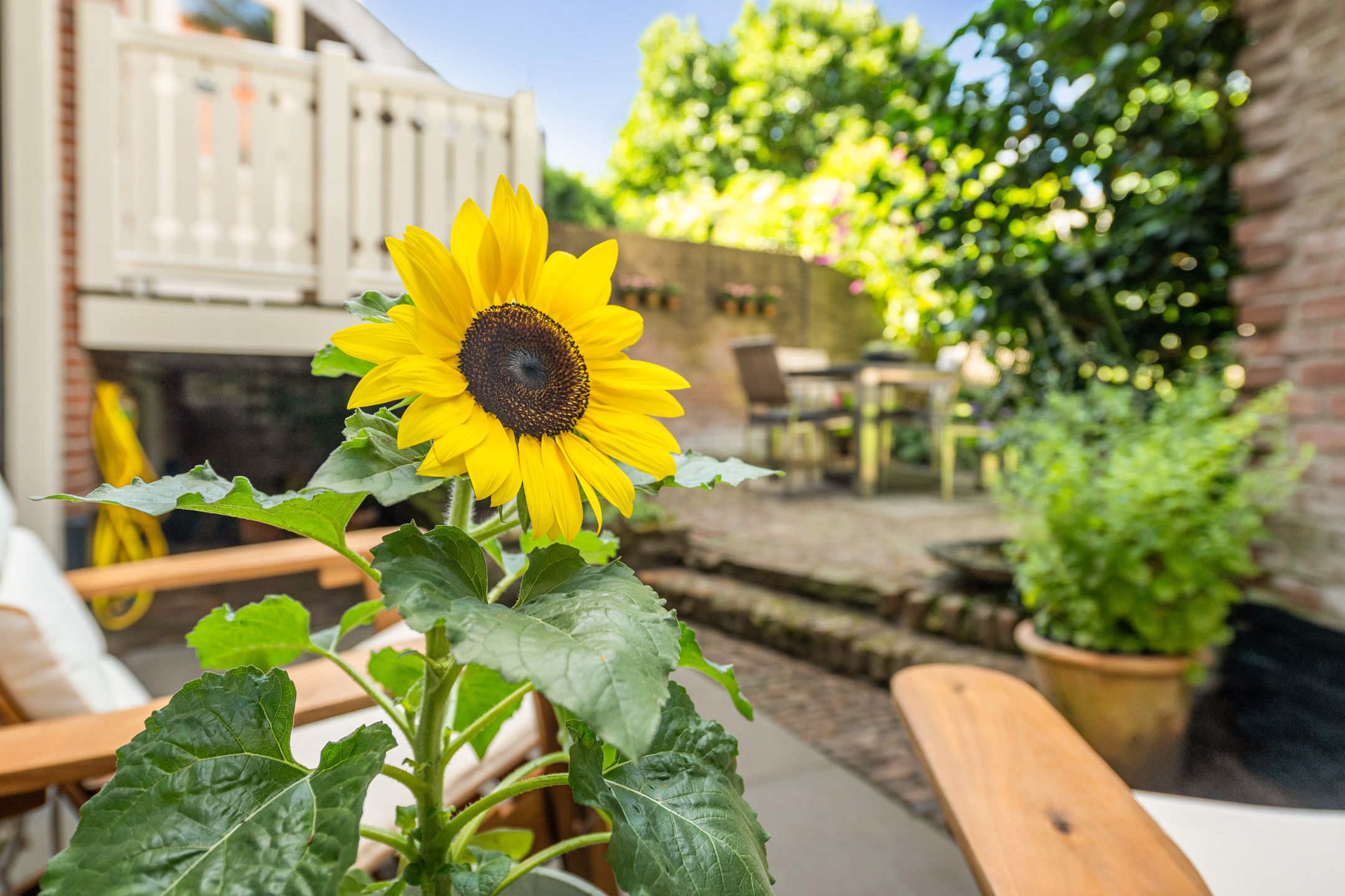 Foto 18 van Langegracht 34