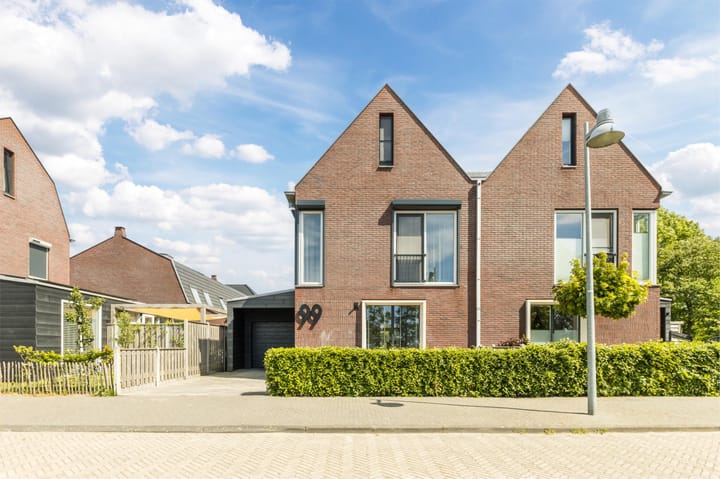 Foto 1 van Buitenkruier 99