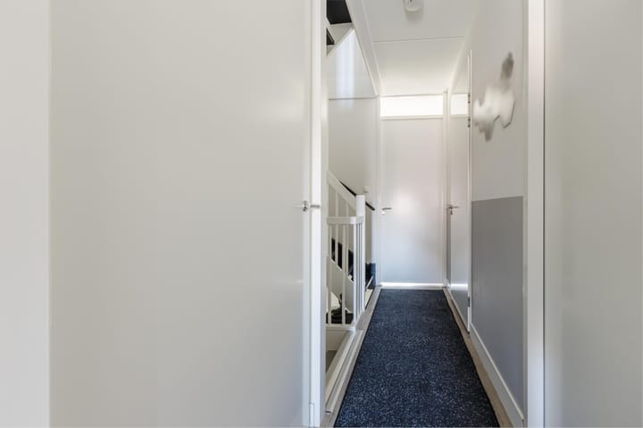 Foto 35 van Buitenkruier 99