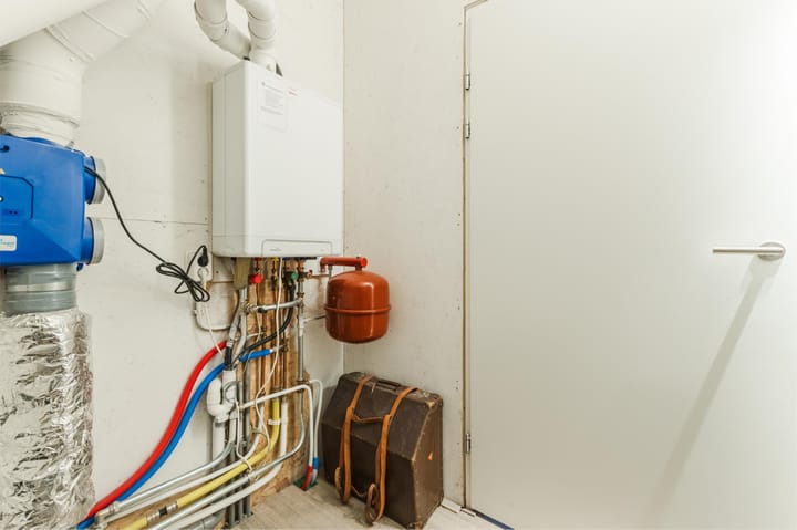 Foto 50 van Buitenkruier 99