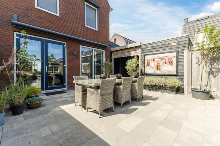 Foto 61 van Buitenkruier 99