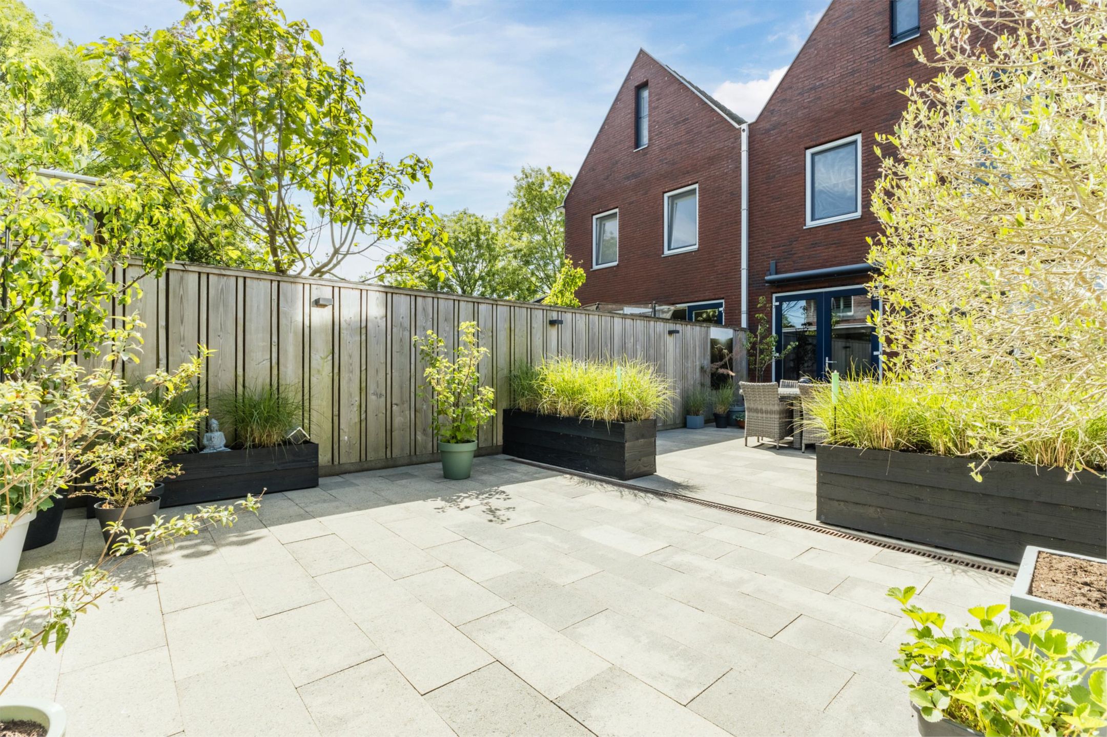 Photo 63 of Buitenkruier 99