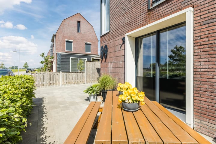 Foto 66 van Buitenkruier 99