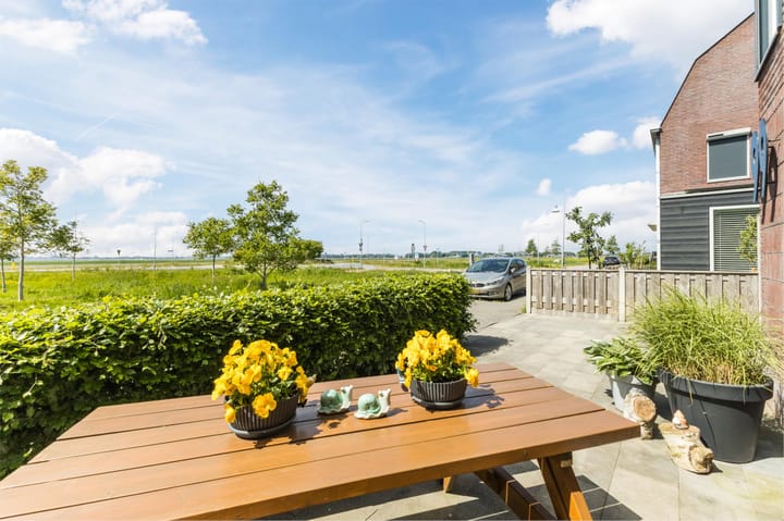 Foto 67 van Buitenkruier 99