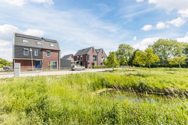 Foto 70 van Buitenkruier 99