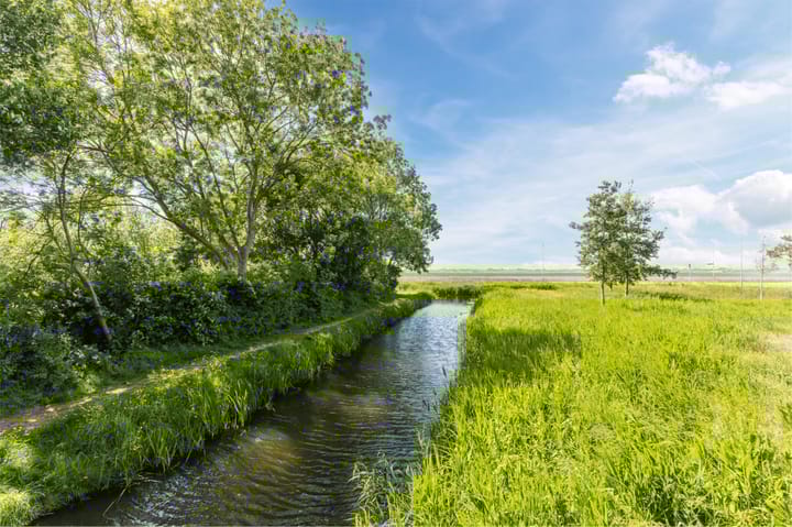 Foto 72 van Buitenkruier 99