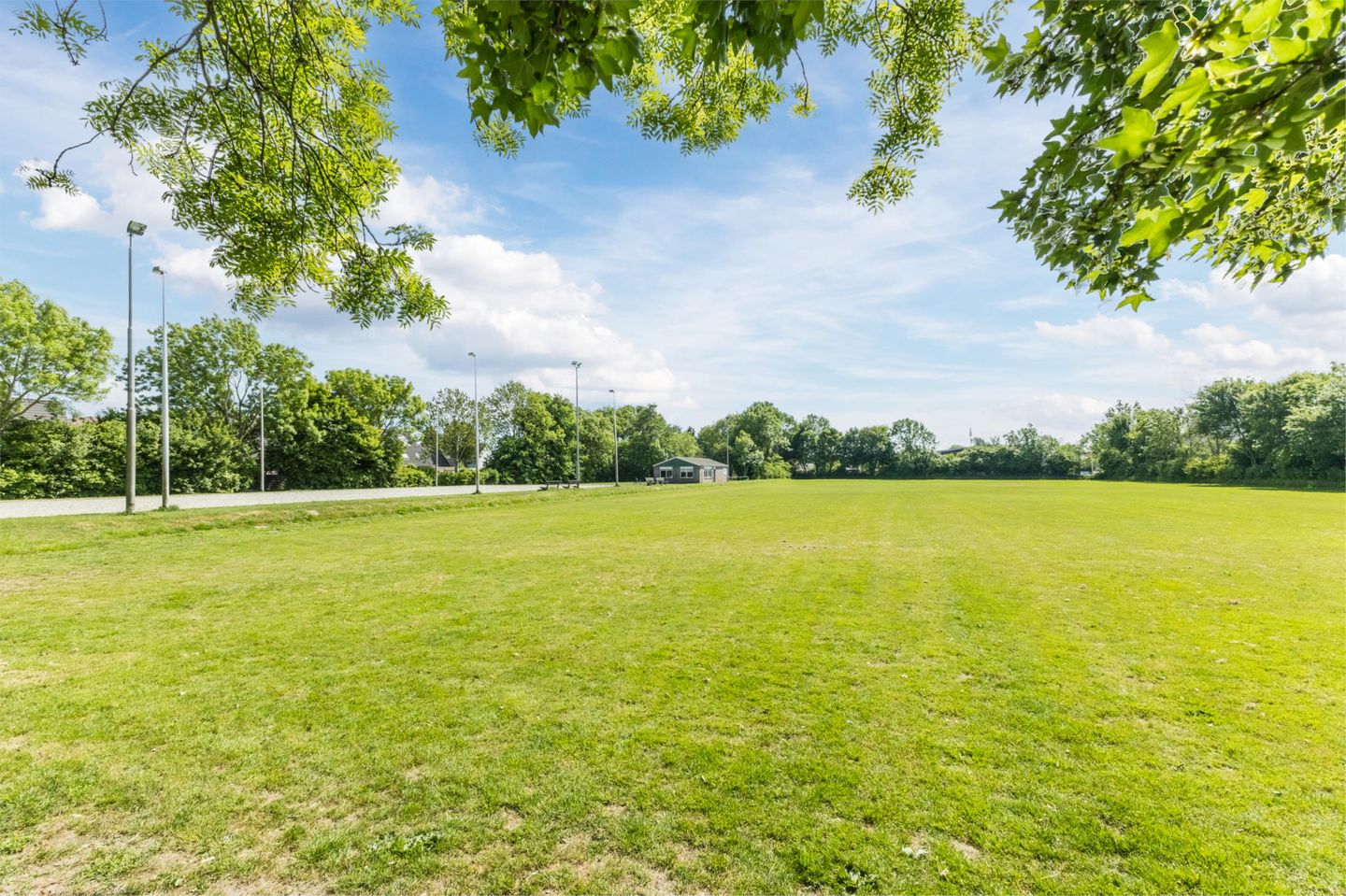 Photo 74 of Buitenkruier 99