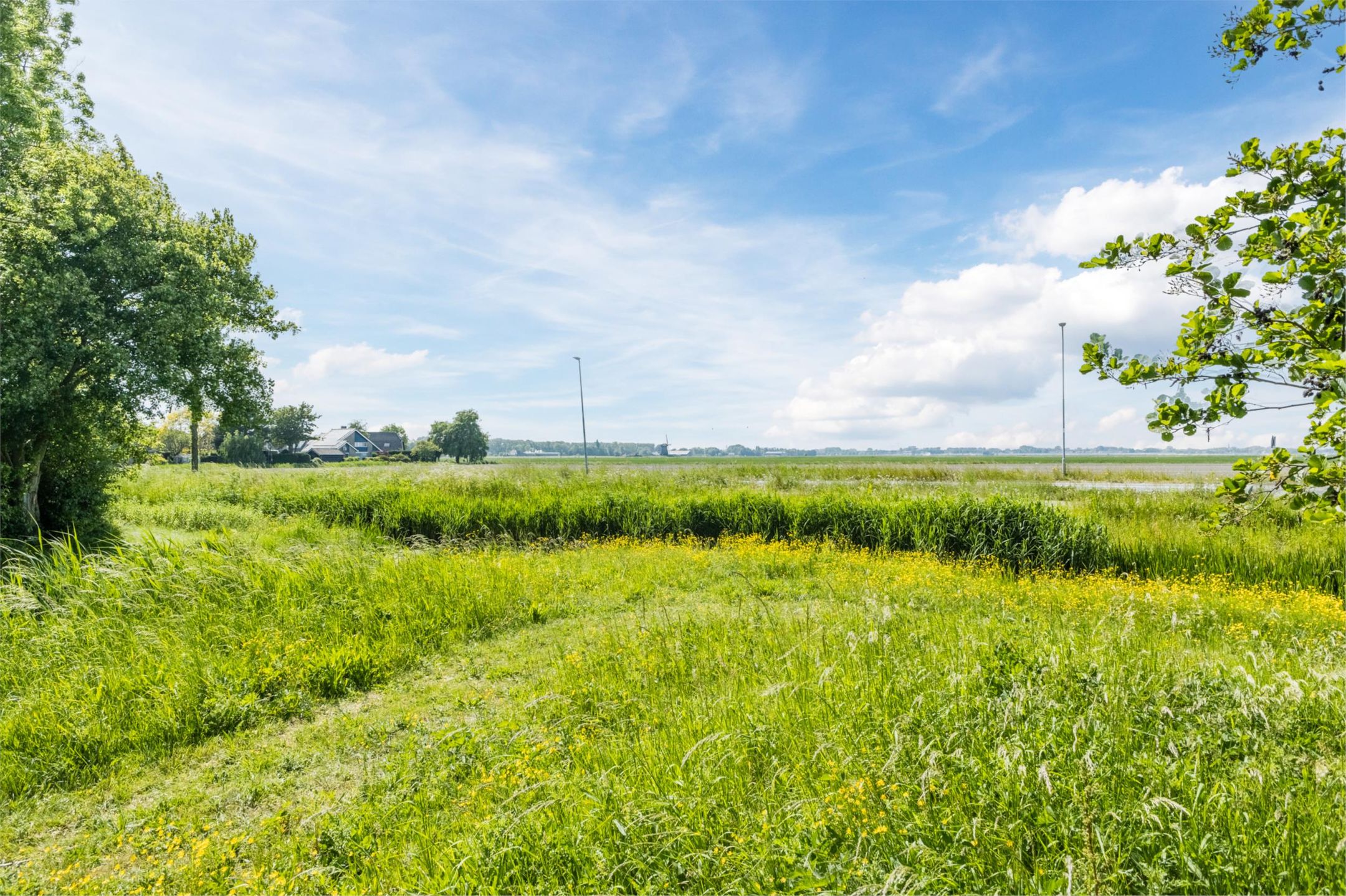 Photo 75 of Buitenkruier 99